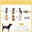 PawHut Cama para Perro Beige 48 x 48 x 24.5 cm 4