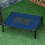PawHut Cama Elevada para Mascota Azul 61 x 46 x 18 cm 5