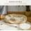 PawHut Cueva para Gato Marrón 78 x 69 x 22 cm 4