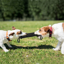 5X 2 Handles Pet Training Bite Tug Toys Young Dog Chewing Arm Sleeve