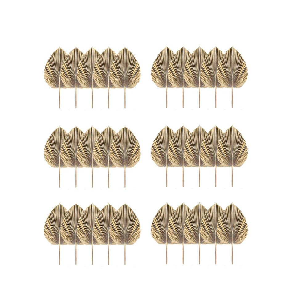 Semoic 30Pcs Natural Dried Leaves Tropical Dried Fans Boho Dry Leaves Decor For Home Kitchen Wedding