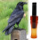 Crow Call Whistle - Outdoor Hunting Tool (50) 5
