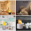 Bioethanol Fire Pit with Ceramic Wick - 50 Chars 6