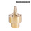 (4 Points Internal Teeth 20mm) Brass Parabolic Fountain Nozzle for Pools 1