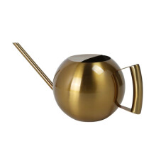 Stainless Steel Watering Can with Ergonomic Handle for Indoor Plants and Garden Flowers, Small Metal Pot