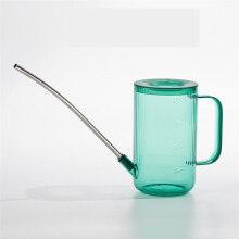 Emerald Green Stainless Steel Watering Can with Ergonomic Handle, Small Pot for Indoor and Garden Plants