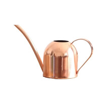 Rose Gold Stainless Steel Watering Can with Dual Modes for Indoor and Outdoor Plants