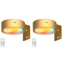 2X Picture Lights LED Art Display Light Battery Operated Dimmable Painting Spotlight 13 Lighting Modes Gold