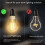 2X Tuya Zigbee  Filament Bulb 7W LED Light Lamp E27 Dimmable Lighting 806Lm CCT  Dimmable 8
