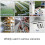 2X Tuya WiFi  7-32V 4 Channel   with Temperature Sensor Passive Dry Contact Module Work with  Life APP 8