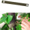 20 PCS Tree Stake Kit, Tree Straps Tree Support Straps Tree Belts Tree Plant Belt for Plant Fix Straight 5