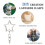 100Pc Star Shaped Spring Snap Keychain Clip with Chain Hanging Buckle and Open Jump Ring 5