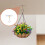 Adhesive Ceiling Hooks 16PCS Ceiling Hanger Hooks Eye Hooks for Suspending Small Plants Wind Chime Hanger for Kitchen 7