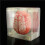 20X Brain Specimen Coasters Set 3D Organ Brain Artwork Brain Slices Square Acrylic Drinks Table Coaster 4