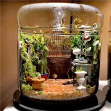 2X Micro-Landscape Glass Terrarium with Dew Collection Cover,Bonsai Vase Glass Microscopic Landscape Ecological Bottle S