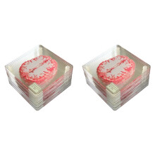 20X Brain Specimen Coasters Set 3D Organ Brain Artwork Brain Slices Square Acrylic Drinks Table Coaster