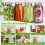 Fermentation Lids for Wide Mouth Mason Jars, 8 Stainless Steel Lids with Date Tracking,  Fermentation Kit 4