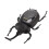 Solar Powered Fake Dung Beetle Model - Realistic Home Decor 11cm 10