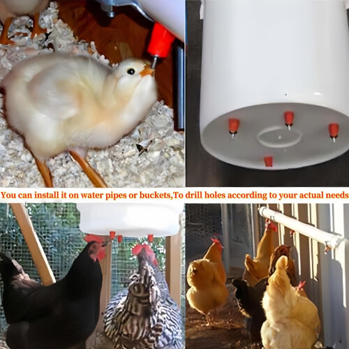 20 Pack Poultry Nipple Drinker Chicken Waterer Kit, Leakproof 360 Automatic Watering System 2
