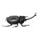 Solar Powered Fake Dung Beetle Model - Realistic Home Decor 11cm 14