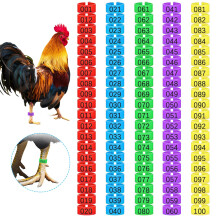 100 Pcs Numbered Poultry Leg Bands 16mm Colorful Chicken Identification Rings for Ducks and Birds