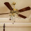 16 Pieces Ceiling Fan Chain Pulls Wooden Pull Chain Extension Pull Chain for Ceiling Light Lamp Fan Chain (Walnut Color) 5