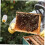 Beekeeping Hive Tool Set with Ergonomic Wooden Handle Honey Extractor Roller for Precise Harvesting 3