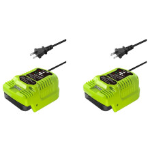 2X Cargador para Batería Greenworks de 40 V, Batería MAX 40 V 29462, 29472 y para Greenworks Otras Baterías de 40 V, Enchufe Estadounidense