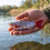 18g Bionic Lure 6-Segment Sinking Bait 2