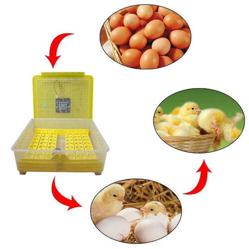 48 Egg Incubator with Automatic Turning, Digital Temperature and Humidity Control for Poultry Ref: 9876 1