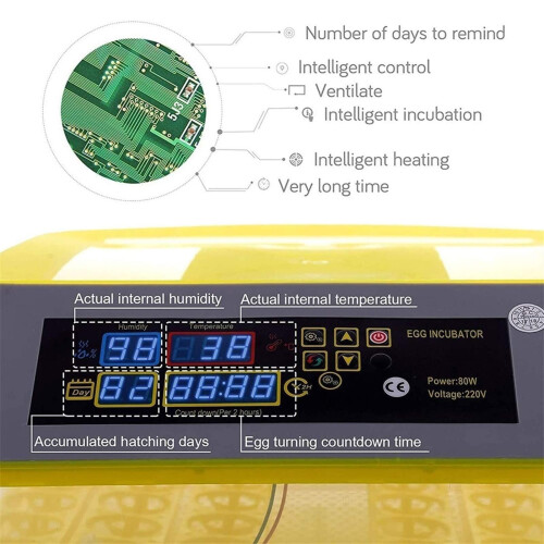 48 Egg Incubator with Automatic Turning, Digital Temperature and Humidity Control for Poultry Ref: 9876 2