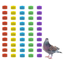 100Pcs 8mm Pigeon Leg Bands Numbered 001100 MultiColor Poultry Rings for Chick Quail Dove Finch