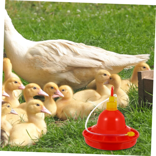Automatic Chicken Water Feeder Durable Plastic Poultry Waterer with  Capacity and Easy Clean Design 1