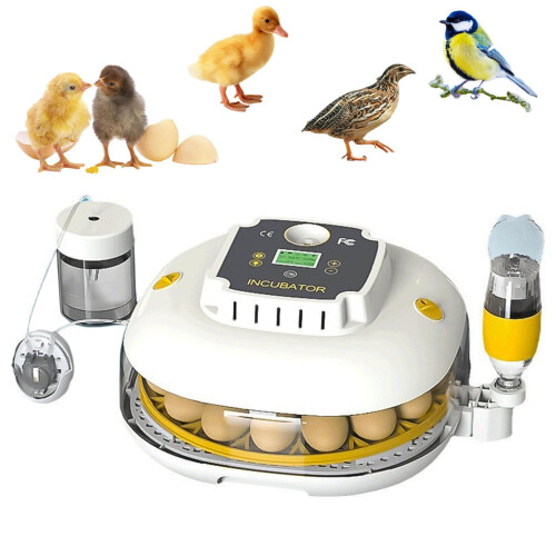 Automatic Egg Incubator with Smart Humidity Control, Auto Turning, 22Egg Capacity for Chicken Duck Goose