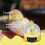 Mini Egg Incubator for Hatching Chicken and Quail Eggs, Compact 4 Egg Capacity 2