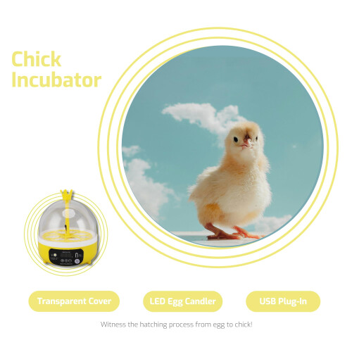 Mini Egg Incubator for Hatching Chicken and Quail Eggs, Compact 4 Egg Capacity 2