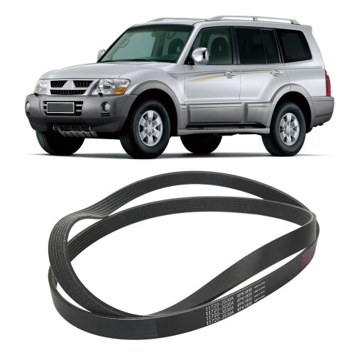 Serpentine Belt Timing Kit Rogue