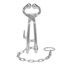 Stainless Steel Cow Nose Pliers with Chain, Gentle Rounded Head, Durable Cattle Nose Lead Tool