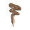 Makeup Revolution - Full Cover Camouflage Concealer - C14 2