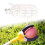 Fruit Picker Tool with Bag, Lightweight Handheld Fruit Picker for Grapefruit, Gentle Grip and Durable PP Design 3
