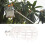 Fruit Picker Tool with Bag, Lightweight Handheld Fruit Picker for Grapefruit, Gentle Grip and Durable PP Design 2