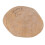 Garden Stone for Pet Memory Butterfly 1