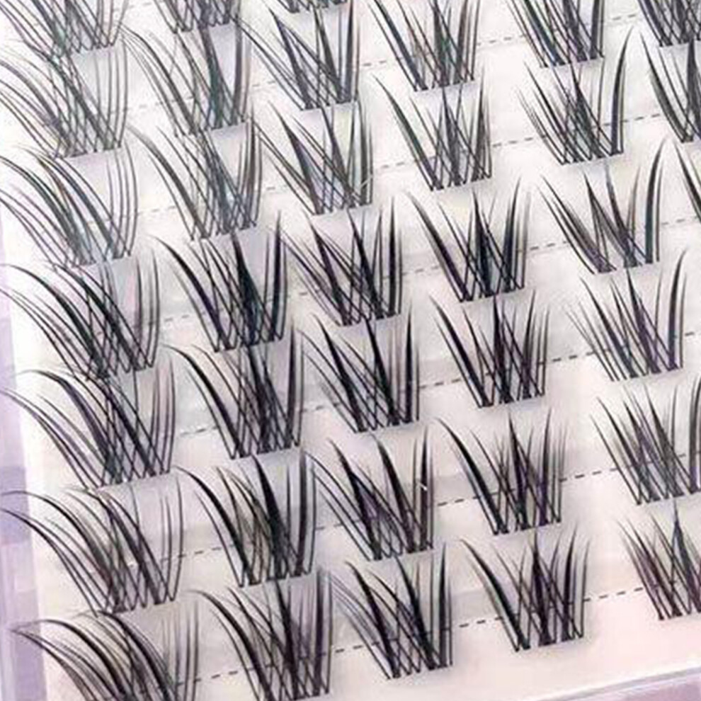 Roc-Electron (10 Row Fox Series Qingqiu Fox Eyelash Book Single) Dense C-Curl False Lashes For Daily & Party