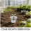 5Sets Clear Hydroponic Plant Cups for Home Planting 8