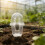 5Sets Clear Hydroponic Planter Pots Reusable Pet Containers 5