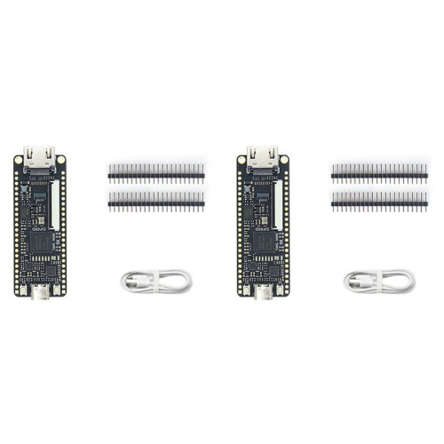 2X Tang  9K FPGA Development Board GOWIN GW1NR-9 RISC-V -Compatible 1
