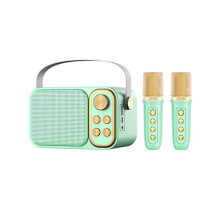 Système de Karaoké Portable avec Haut-Parleurs  et 2 Microphones Sans Fil - Idéal pour Chanter en Famille à la Maison - Cadeau pour Enfants