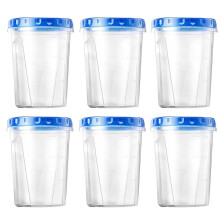 Ensemble de 6 Boîtes de Congélation Réutilisables en Plastique avec Couvercles à Visser, pour Salades et Crèmes Glacées