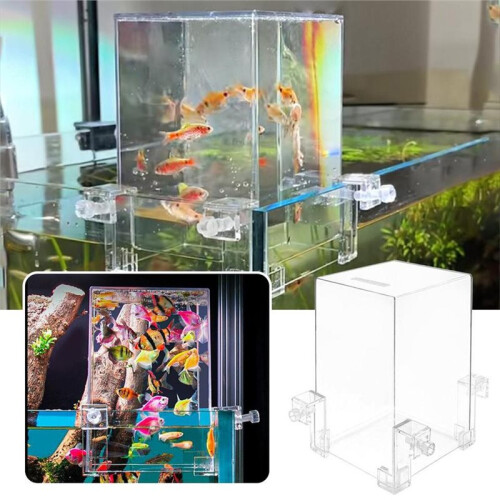 Desktop Fighting Fish Tank Negative Pressure Transparent Ecological Aquarium 2