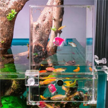 Desktop Fighting Fish Tank Negative Pressure Transparent Ecological Aquarium